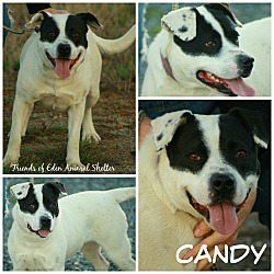 Thumbnail photo of Candy #4