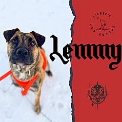 Thumbnail photo of Lemmy #2