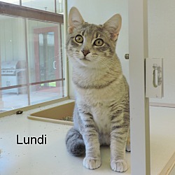 Thumbnail photo of Lundi #3