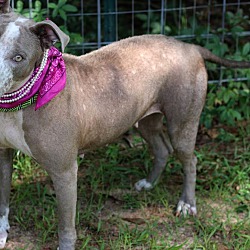 Photo of Rosie
