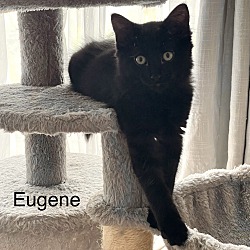 Thumbnail photo of Eugene #3