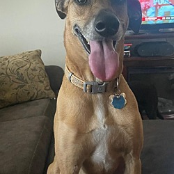 Photo of Barkley
