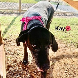 Thumbnail photo of Kay #3