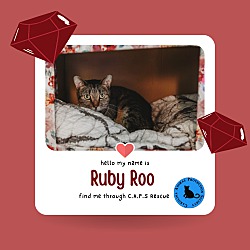 Photo of Ruby Roo