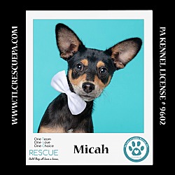 Photo of Micah (The Smidgens) 051824