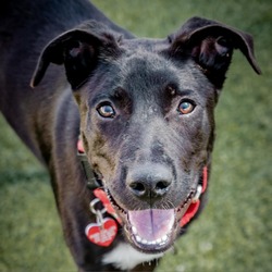 Thumbnail photo of Florence A2154712 #4