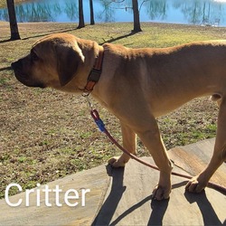 Thumbnail photo of Critter #3