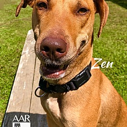 Thumbnail photo of Zen #4