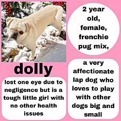 Thumbnail photo of Adorable Dolly #1