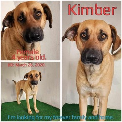Thumbnail photo of Kimber #1