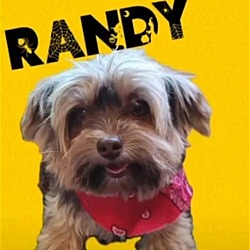 Photo of Randy