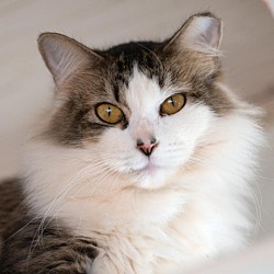 Photo of Lagertha