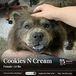 Thumbnail photo of Cookies N Cream #1