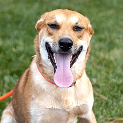 Photo of Marvin