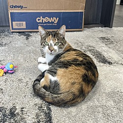 Photo of Jenny