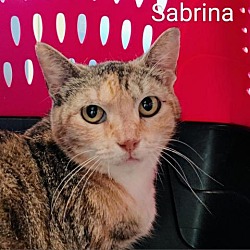 Photo of Sabrina