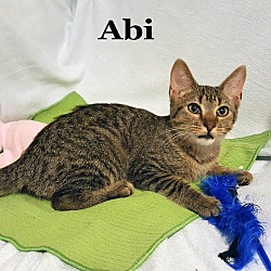 Thumbnail photo of Abi #1