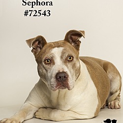 Thumbnail photo of Sephora #2