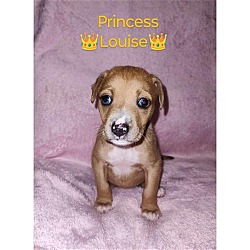 Photo of Princess Louise