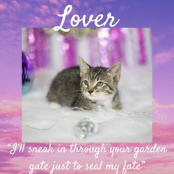 Thumbnail photo of Lover #3