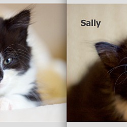 Thumbnail photo of Sally #3