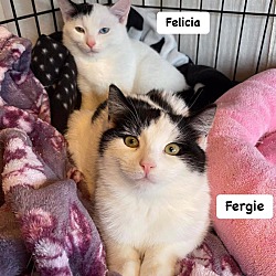 Photo of Felicia & Fergie