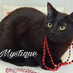 Thumbnail photo of Mystique #1
