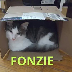 Photo of Fonzie