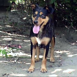 Thumbnail photo of Rayna #2