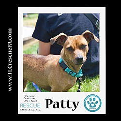 Photo of Patty 050623