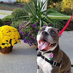 Photo of Lucy