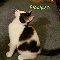 Thumbnail photo of Keegan #1