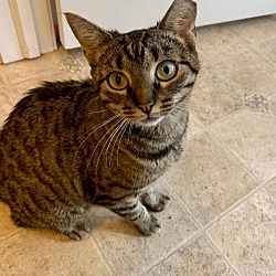 Photo of Aubrey-Courtesy Post!