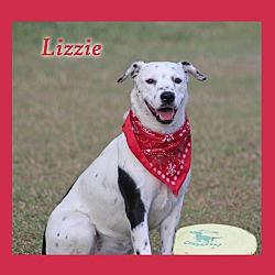 Photo of Lizzie