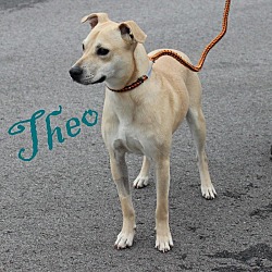 Thumbnail photo of Theo #2