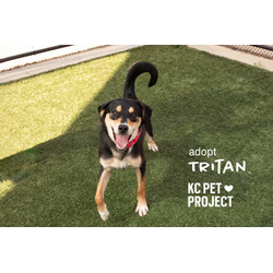 Thumbnail photo of Tritan #2