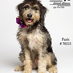 Thumbnail photo of Faith  (Foster) #1