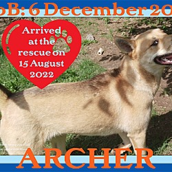 Photo of ARCHER - * * $150 * *