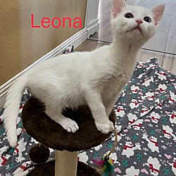 Photo of Leona