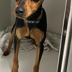 Photo of JACK