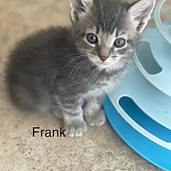 Photo of Frank
