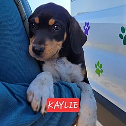 Photo of Kaylie