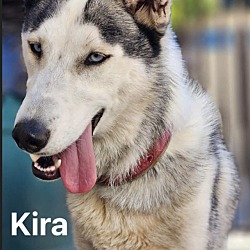 Thumbnail photo of Kira #1