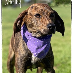Photo of Shirley
