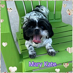 Photo of Mary Kate