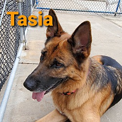 Photo of Tasia