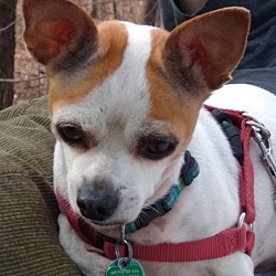 Photo of Pepper Spice Boy