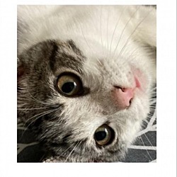 Photo of Ari