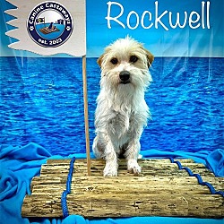 Thumbnail photo of Rockwell #2