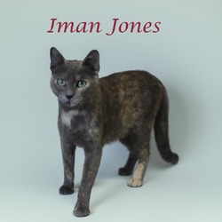 Thumbnail photo of Iman Jones C24-265 #1